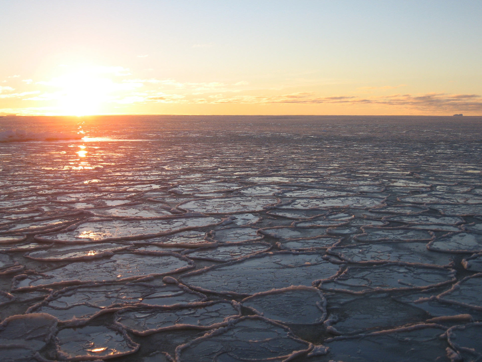 Sea Ice Graphic