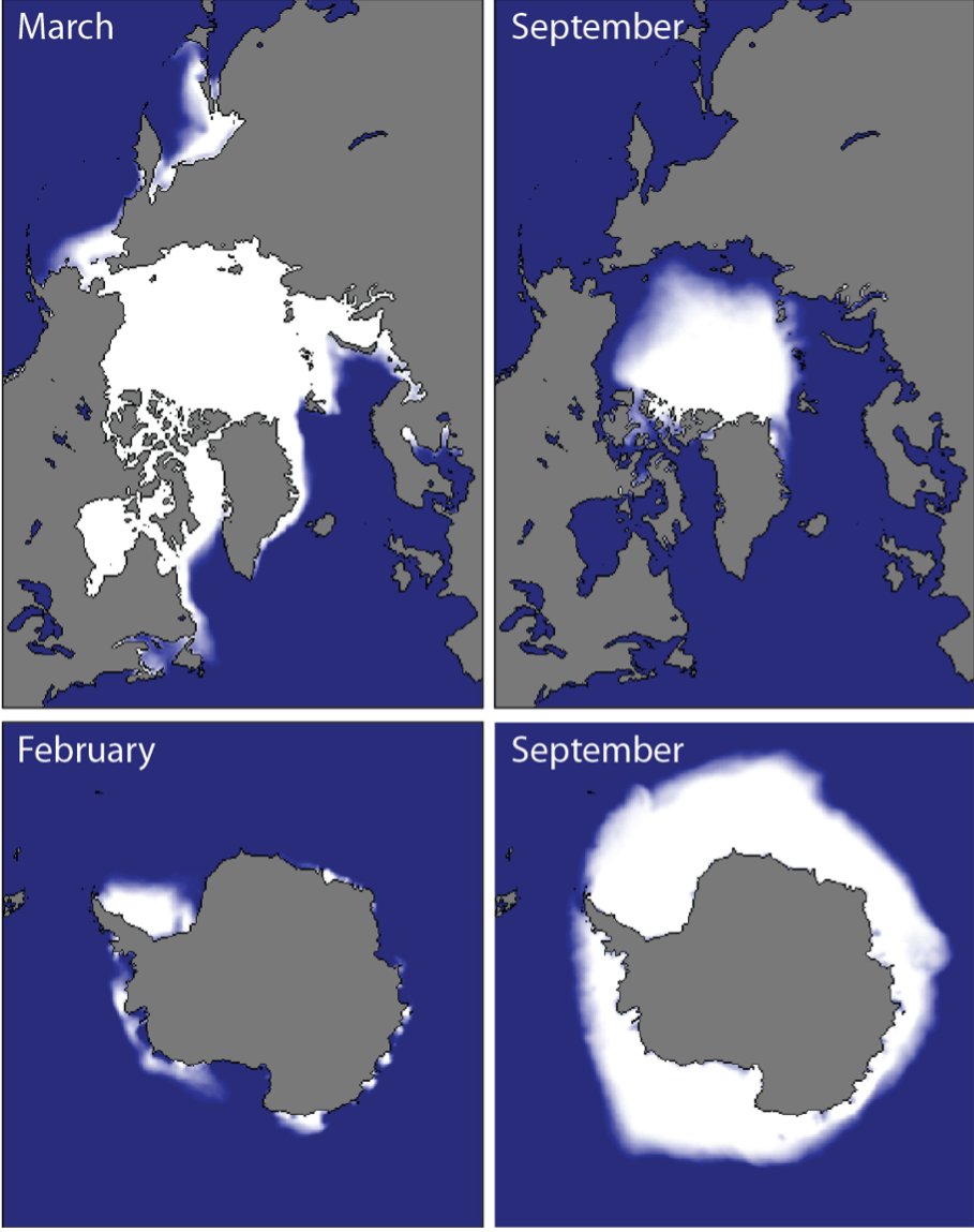 NSIDC Graphic